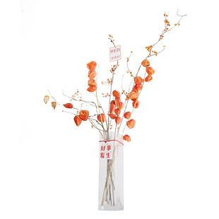 进口酸浆果南蛇藤红果轻奢花束家居插花室内观赏装饰线条天然干花