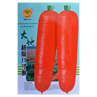 胡萝卜种子种孑夏秋播种三红甜脆红皮红肉耐热高产胡萝卜蔬菜种籽