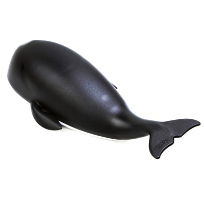 泰国qualy环保海洋冰箱