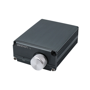 伟良B3 100W HIFI发烧音响专业低音炮D类数字功放 大功率放大器