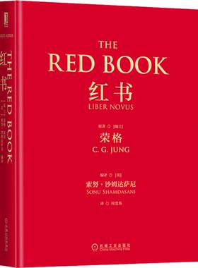 正版包邮红书荣格心理学大师