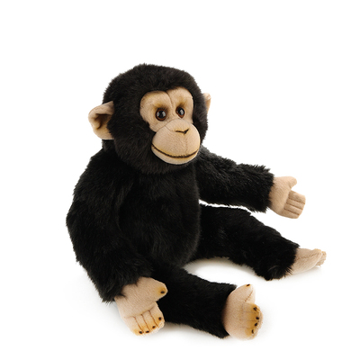 国家地理正品，假一罚十