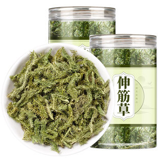 伸筋草中药材正品晒干货小伸筋草非野生泡脚搭透骨草的功效与作用