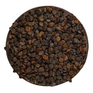 黄芪种子中药材内蒙黄芪种籽500克铁芪棉芪种植苗当归党参枸杞孑