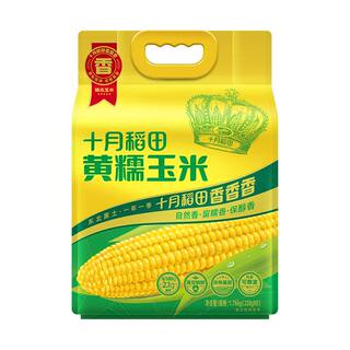 十月稻田糯玉米东北真空包装袋零食早餐食品甜黄粗粮主食新鲜官方
