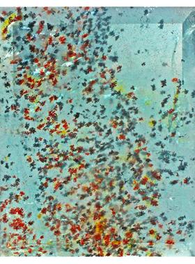 爆闪骨干海蓝无字牌许愿金草莓