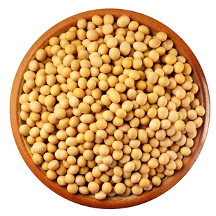 神农架农家自种黄豆 手工精选 发豆芽打豆浆五谷杂粮500g