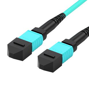 博雁翔mpo光纤跳线铠装MT万兆多模MTP8 12 16 24芯QSFP28光模块40G/100G集束LC OM3适用华为思科交换机 定制