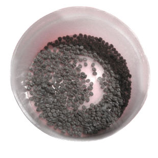 蚕宝宝卵桑蚕学生宠物天然金丝彩色蚕卵蚕种蚕子蚕籽初代杂交特价