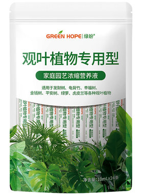 观叶营养液绿植盆栽室内家用有机