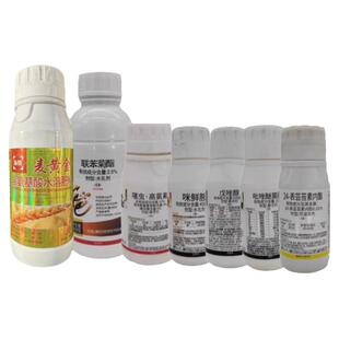 小麦增产套餐杀虫杀菌叶面肥小麦赤霉病白粉病解决方案一喷三防