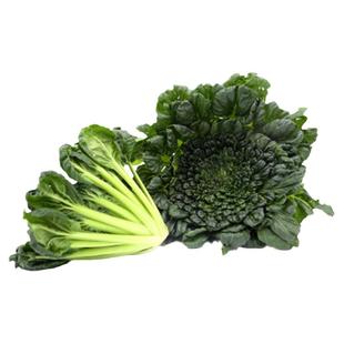 冬天乌塌菜种子子白菜黄心乌冬季籽种黑菜蔬菜种籽孑菜籽菜种乌塔