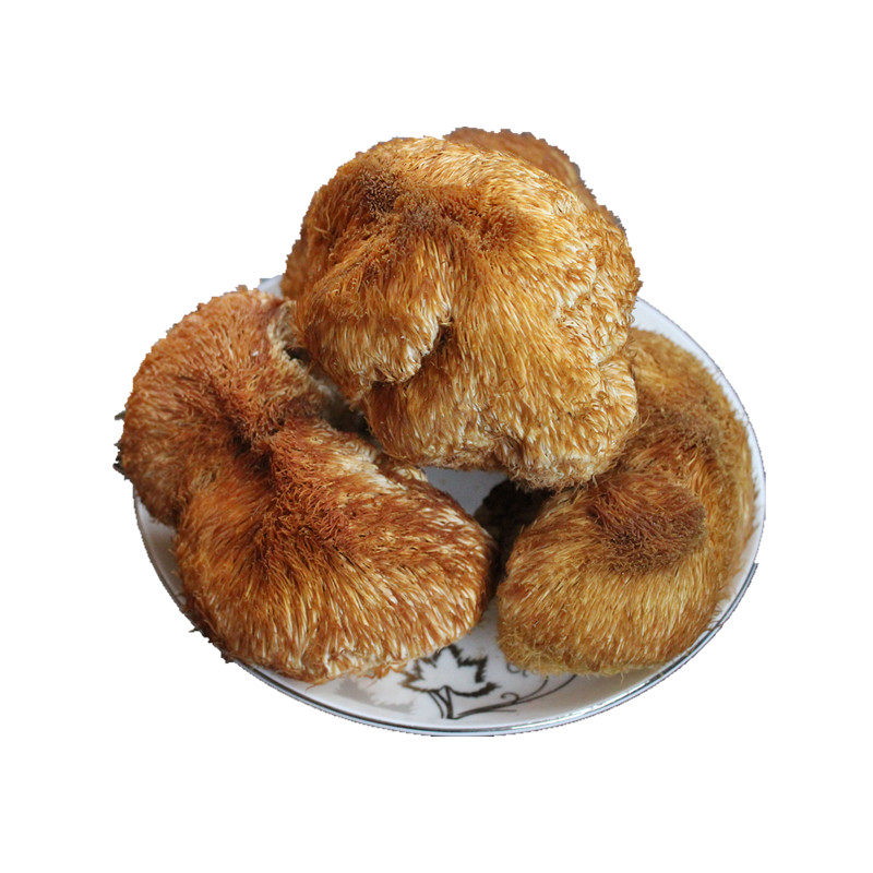 大兴安岭野生猴头菇东北250g