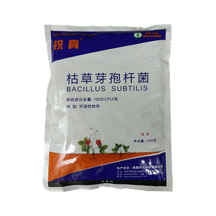 拜沃锐真枯草芽孢菌杆菌 草莓人参白粉病土传叶部病害杀菌剂