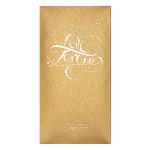 红包袋创意婚礼西式英文个性送女神烫金超大号小号结婚定制利是封