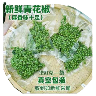 特麻生花椒现摘青麻椒重庆新鲜鲜藤椒真空新鲜保鲜新花淑粒湿