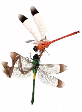 仿真蜻蜓立体昆虫磁冰箱贴