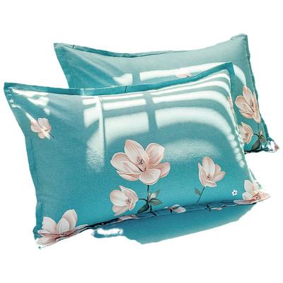 全棉网红枕头套装一对成人家用