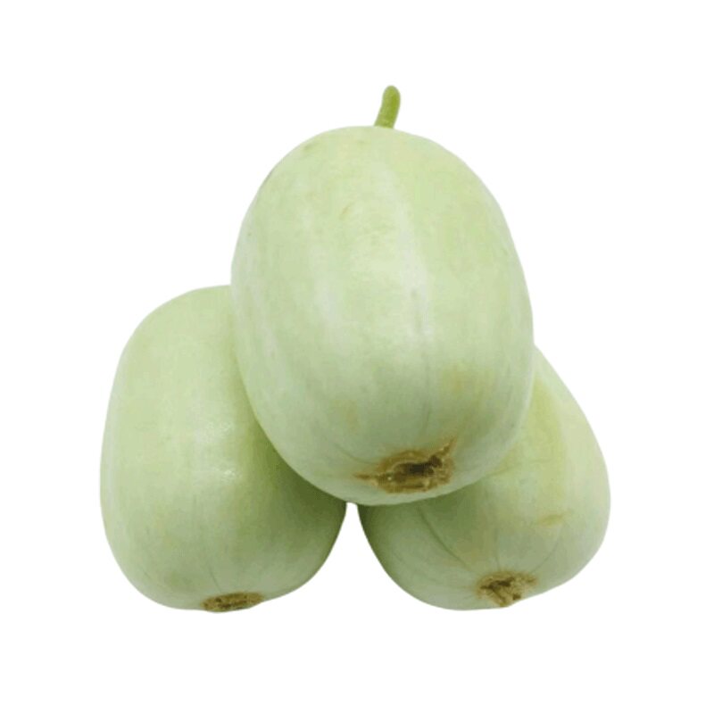 qq黄瓜种子金童玉女水果苗孑秧四季嫁接瓜苗菜苗小蔬菜种籽秧苗