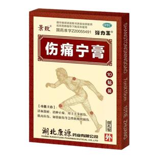 景致 伤痛宁膏10贴活血散瘀消肿止痛关节扭伤肌肉韧带拉伤膏药贴