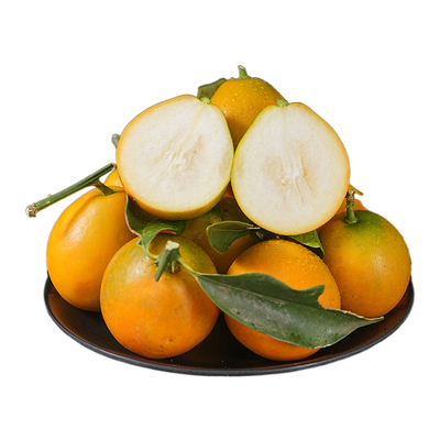 空运次日达顾老表云南脆蜜金桔