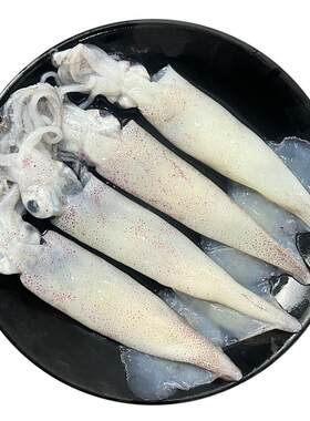 【野生海捕】鲜冻笔管鱼小管鱿鱼