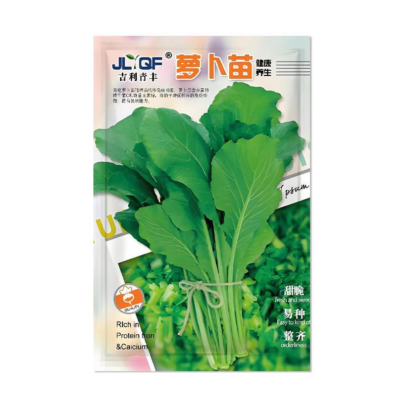吉利青丰萝卜苗萝卜菜种子
