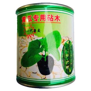 黄瓜专用嫁接砧木种子沾木白黄子南瓜砧木种子100g油亮型耐寒抗病
