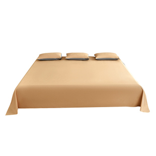 2025新款加厚磨毛超大炕单榻榻米大床单3米长秋冬季可裸睡三件套