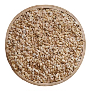 江苏精制去壳大麦米现磨去皮大麦仁米新鲜八宝粥料原料低脂粗粮