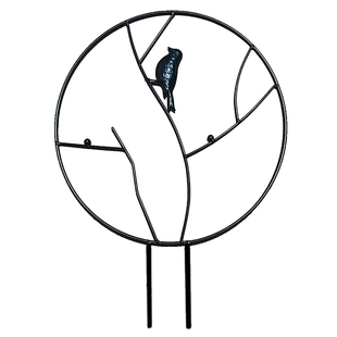 山乌龟盆景专用爬藤架子花支架月季铁线莲龟甲龙爬藤类植物花架子