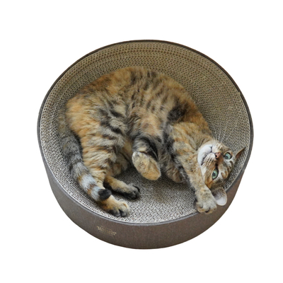 MANDARINEBROTHERS猫抓板