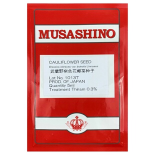 日本武藏野紫花菜种子花椰菜四季菜花水果花菜秋春季籽蔬菜种种子