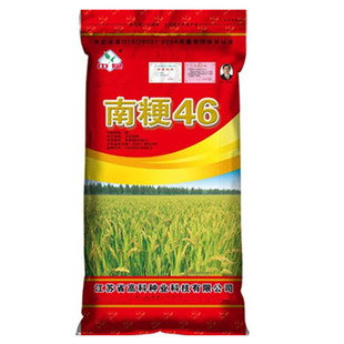 水稻种子南粳46稻谷种籽优质高产圆粒香米种子品种亩产高达1400斤