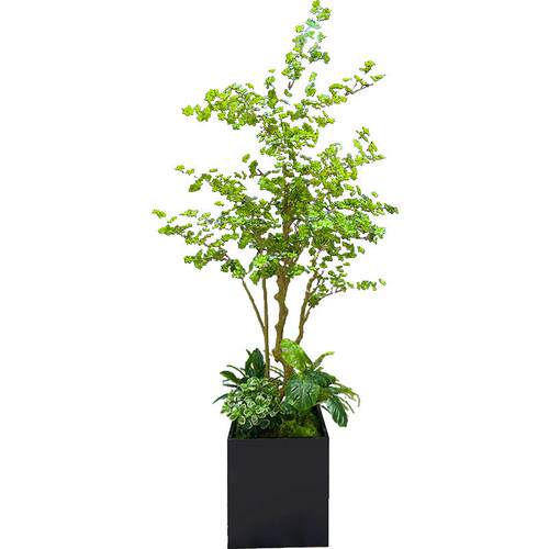 wo+仿真吊钟树假绿植马醉木大型植物景观花箱搭配橱窗电梯口摆放