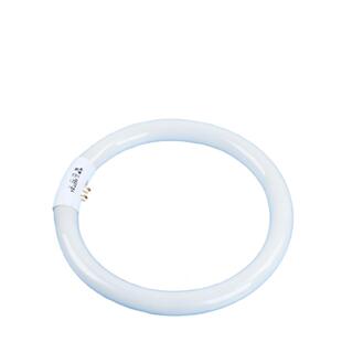 T6环形灯管圆形T5T8节能led白光22吸顶灯32瓦40W三基色四针