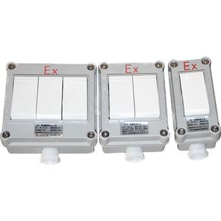 86型墙壁防爆开关明装暗装墙壁防爆照明开关单开双开三开10A现货