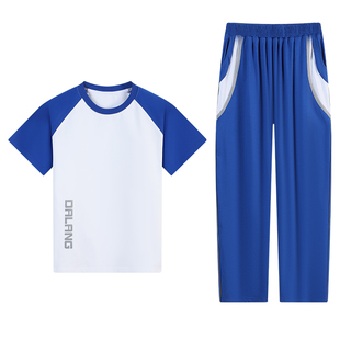 东莞大朗镇校服公办统一小学校服男女夏季运动套装短袖短裤薄长裤