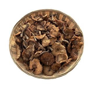 榛蘑东北野生蘑菇干货土特产长白山无根榛蘑菇小鸡炖蘑菇新货500g