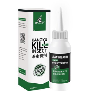 杀虫粉剂灭蚂蚁专用除蟑螂正品家用杀虫剂厨房驱虫用品一窝室内端