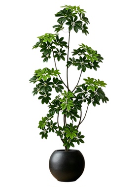 仿真绿植鸭脚木八方来财摆件