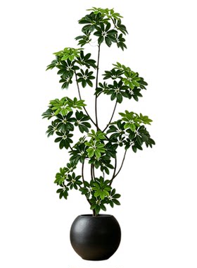 仿真绿植鸭脚木八方来财摆件