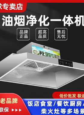 半球全铜大吸力商用油烟净化一体机饭店家用柴火灶抽油烟机土灶台