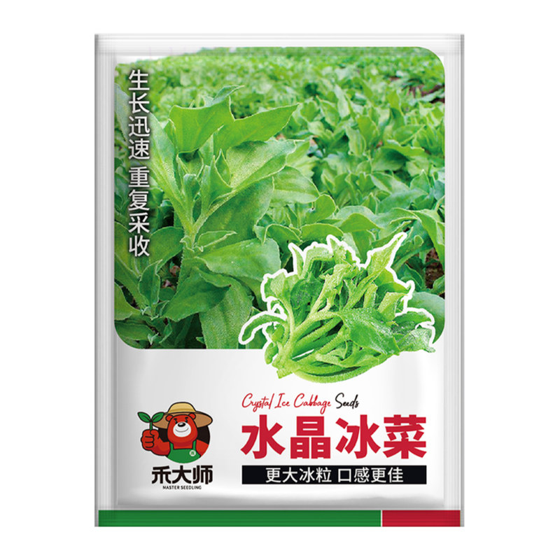 水晶冰菜种子冰草蔬菜种籽四季盆栽菜籽室内外阳台小院农家种植