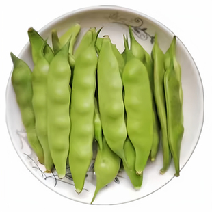 东北油豆角自己家小园现摘现发九月青开锅烂扁豆豆角批发包邮