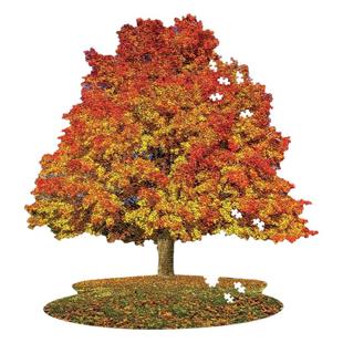 美国MADDCAPP成人解压高难度潮玩一千片异形“野生”拼图--糖枫树