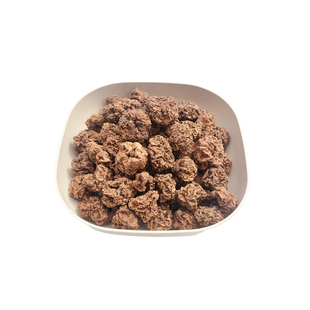 猫咪虫瘿果颗粒木天蓼磨牙棒洁齿耐咬自嗨兴奋猫咪玩具幼猫用品