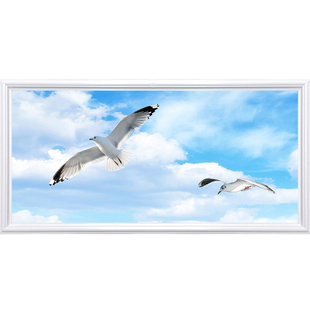 定制蓝天白云花灯集成吊顶LED平板灯铝扣板厨房卫生间客餐厅过道