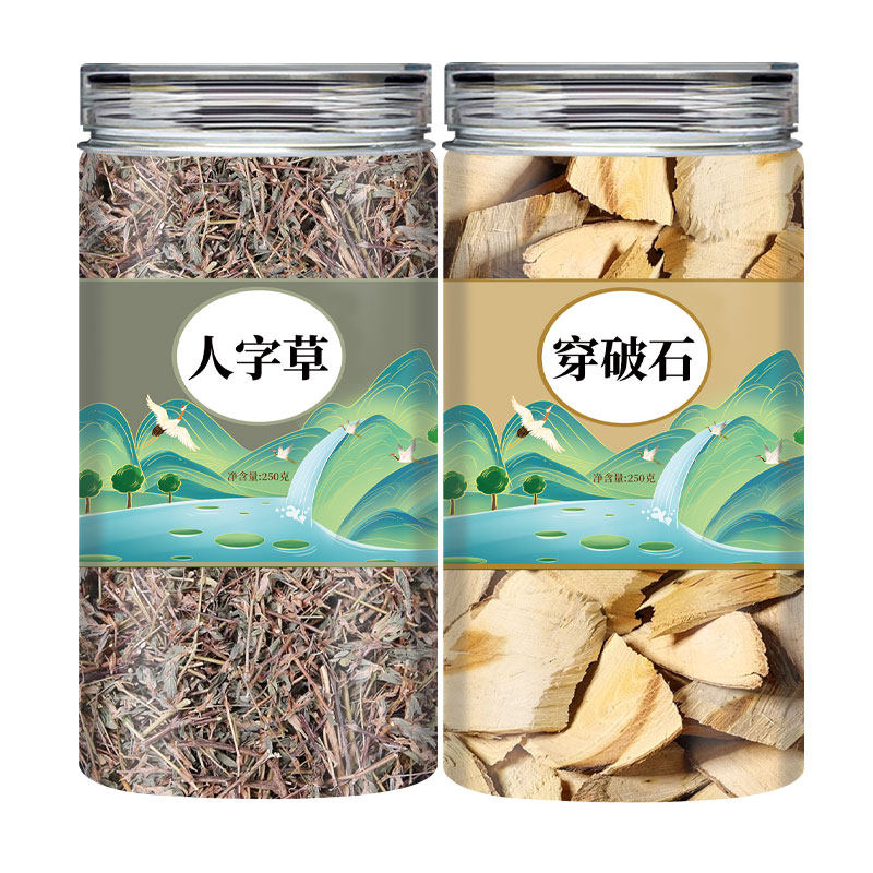 穿破石人字草正宗中药材新鲜干货石见穿泡茶喝川破石的功效与作用