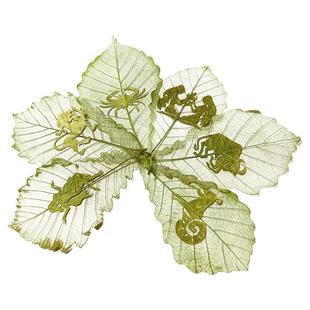 十二星座青冈叶雕树叶雕刻画书签手工艺出国送老外生日情人节礼物